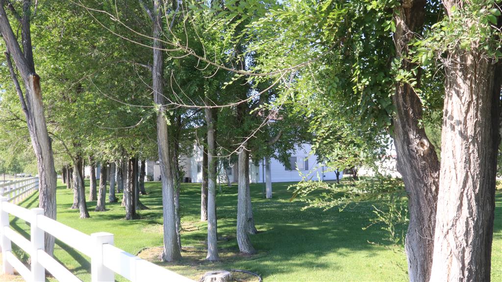 Gallery Photo 41